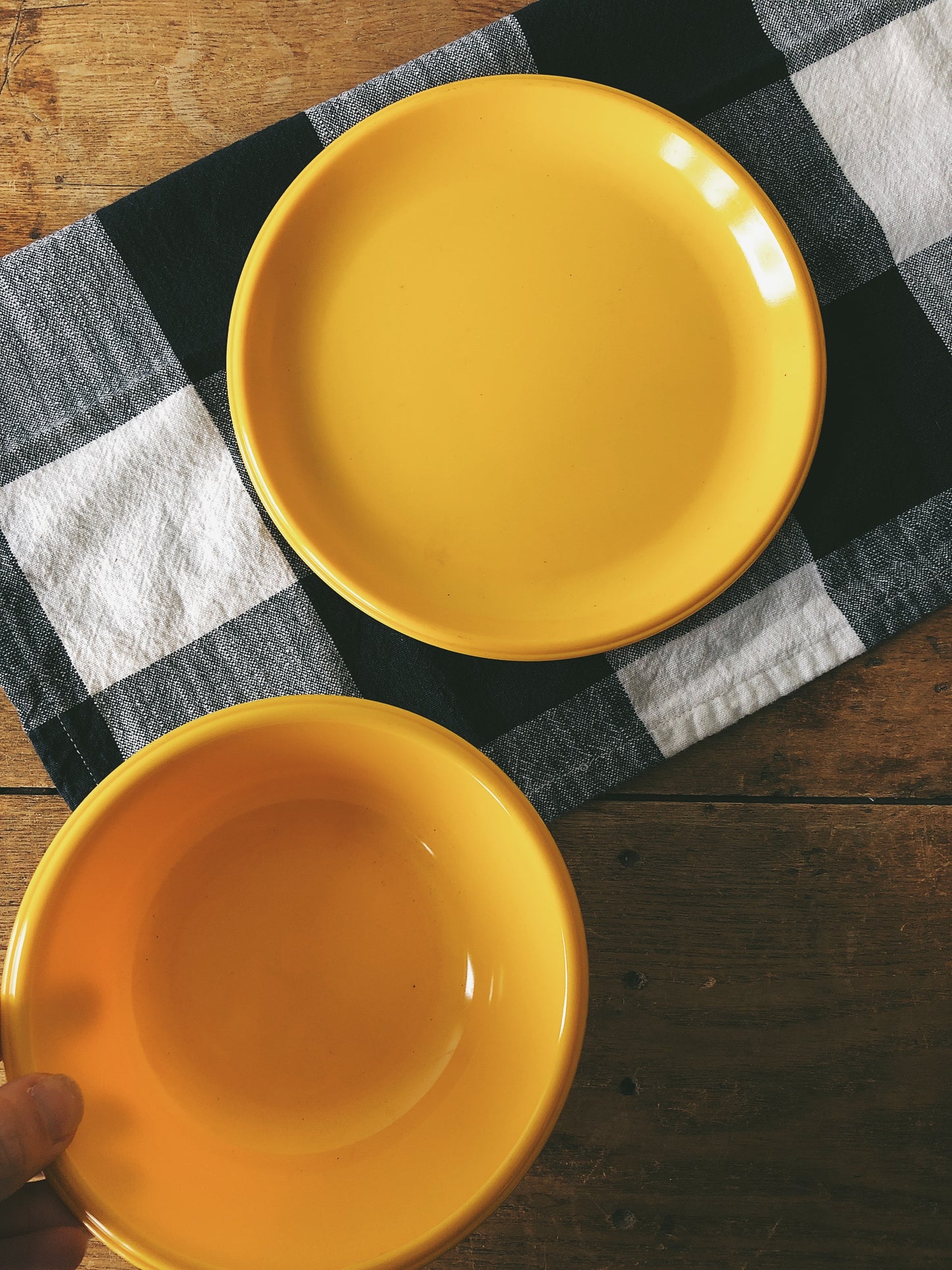 Vintage 1970s Picnic Ware