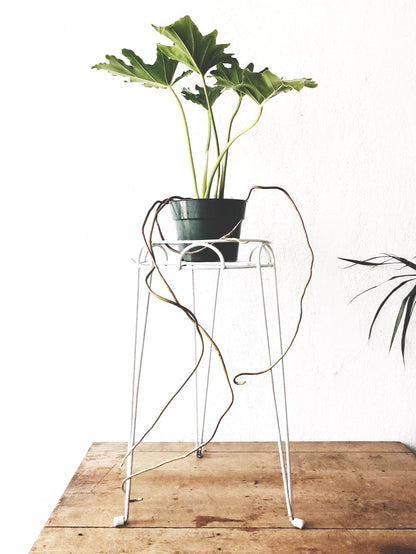 tripod plant hanger Tripod Plant Stand