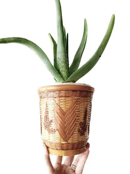 Vintage Lined Plant Basket