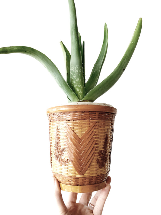 Vintage Lined Plant Basket