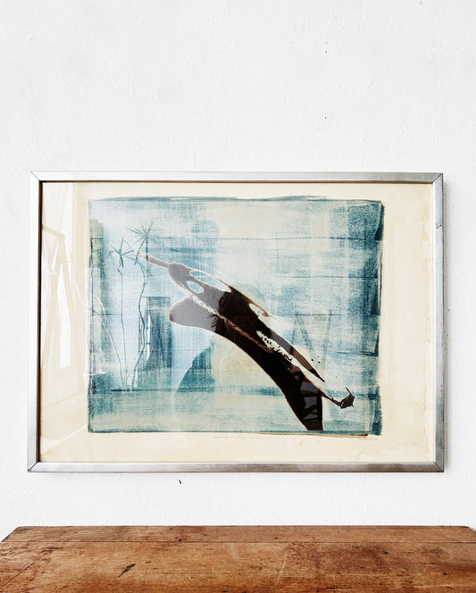 Vintage Original Screenprint