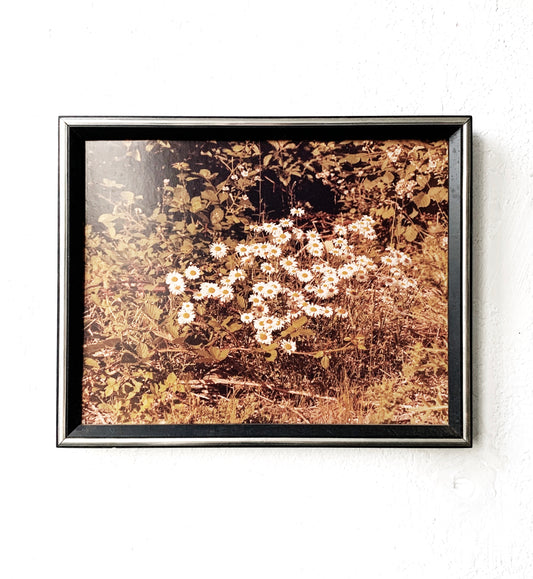 Vintage Framed Photo