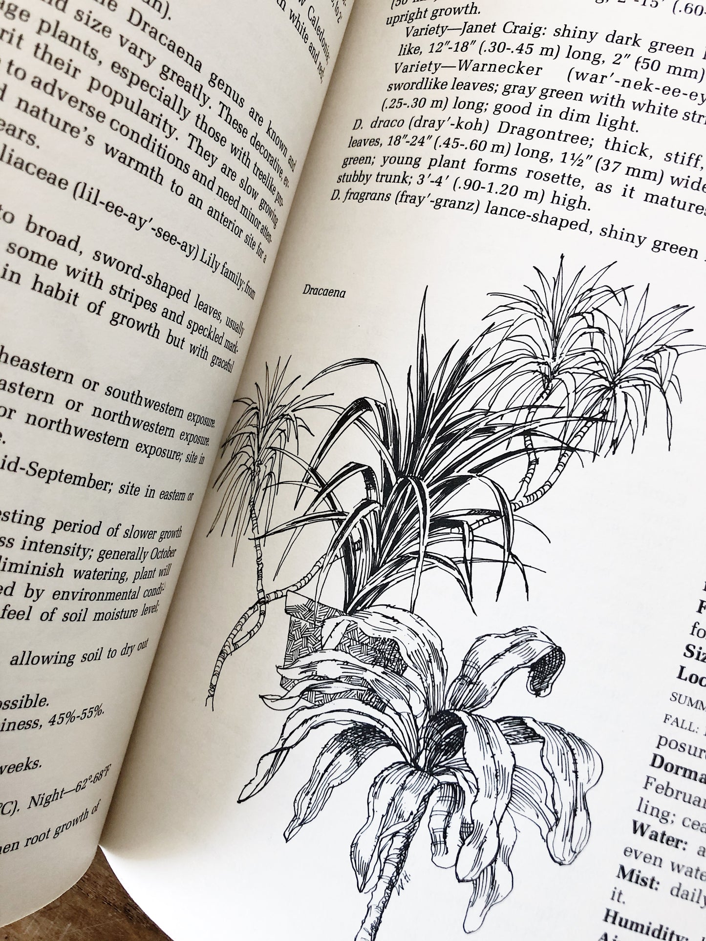 Vintage Houseplant Book
