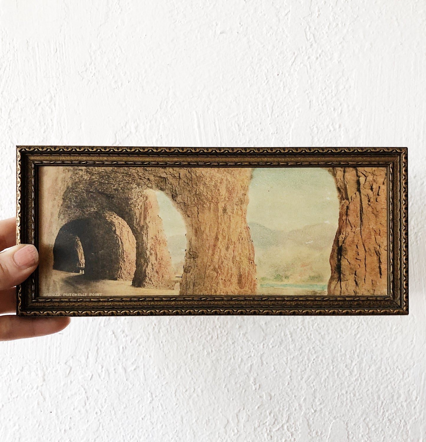 Antique Hand Colored Photograph