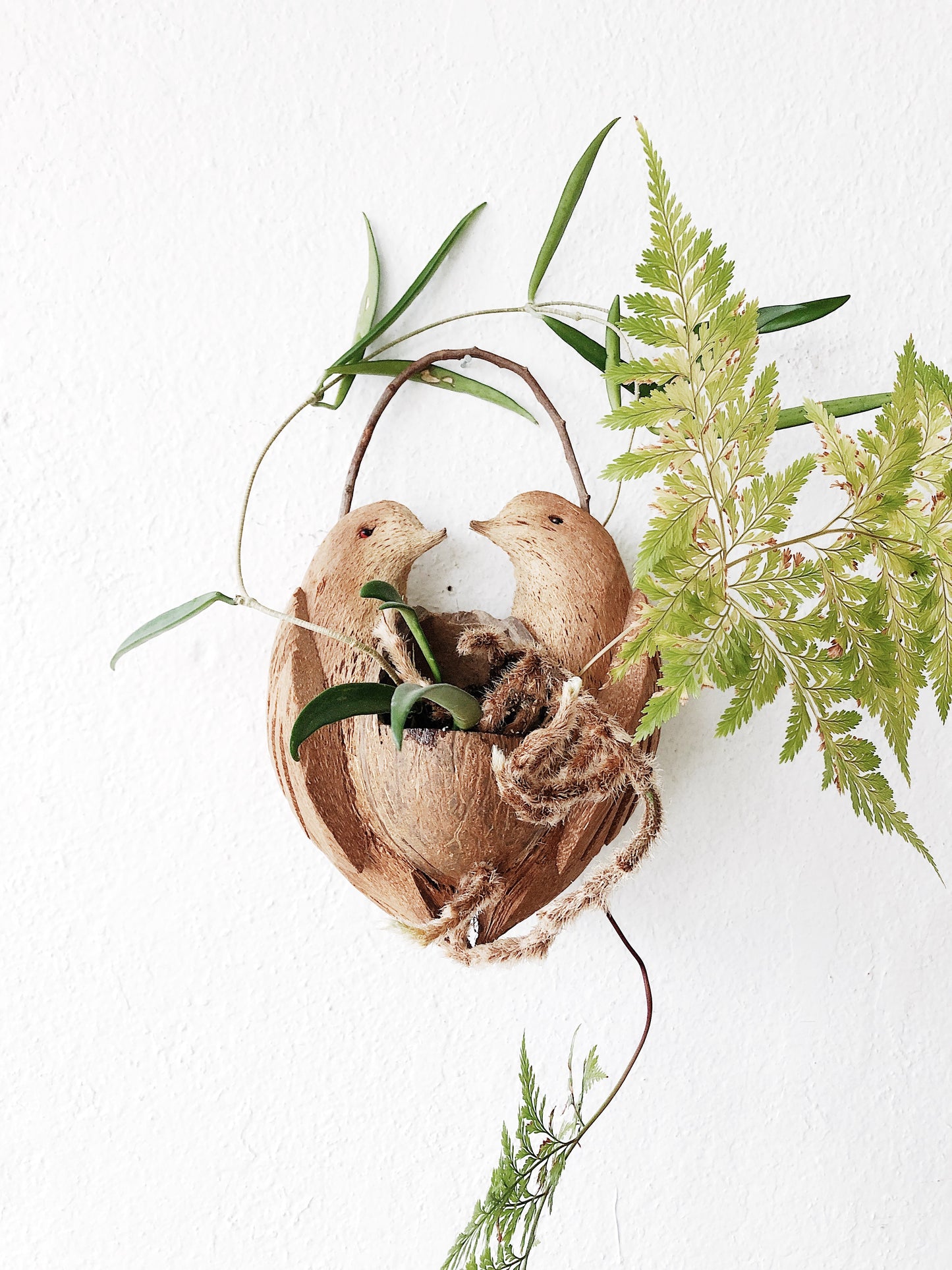 Vintage Coconut Shell Planter