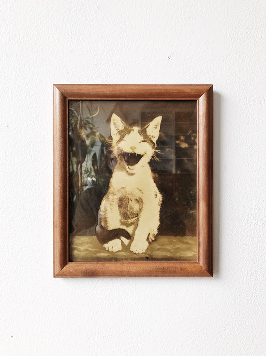 Amazing Vintage Kitten and Moon Litho