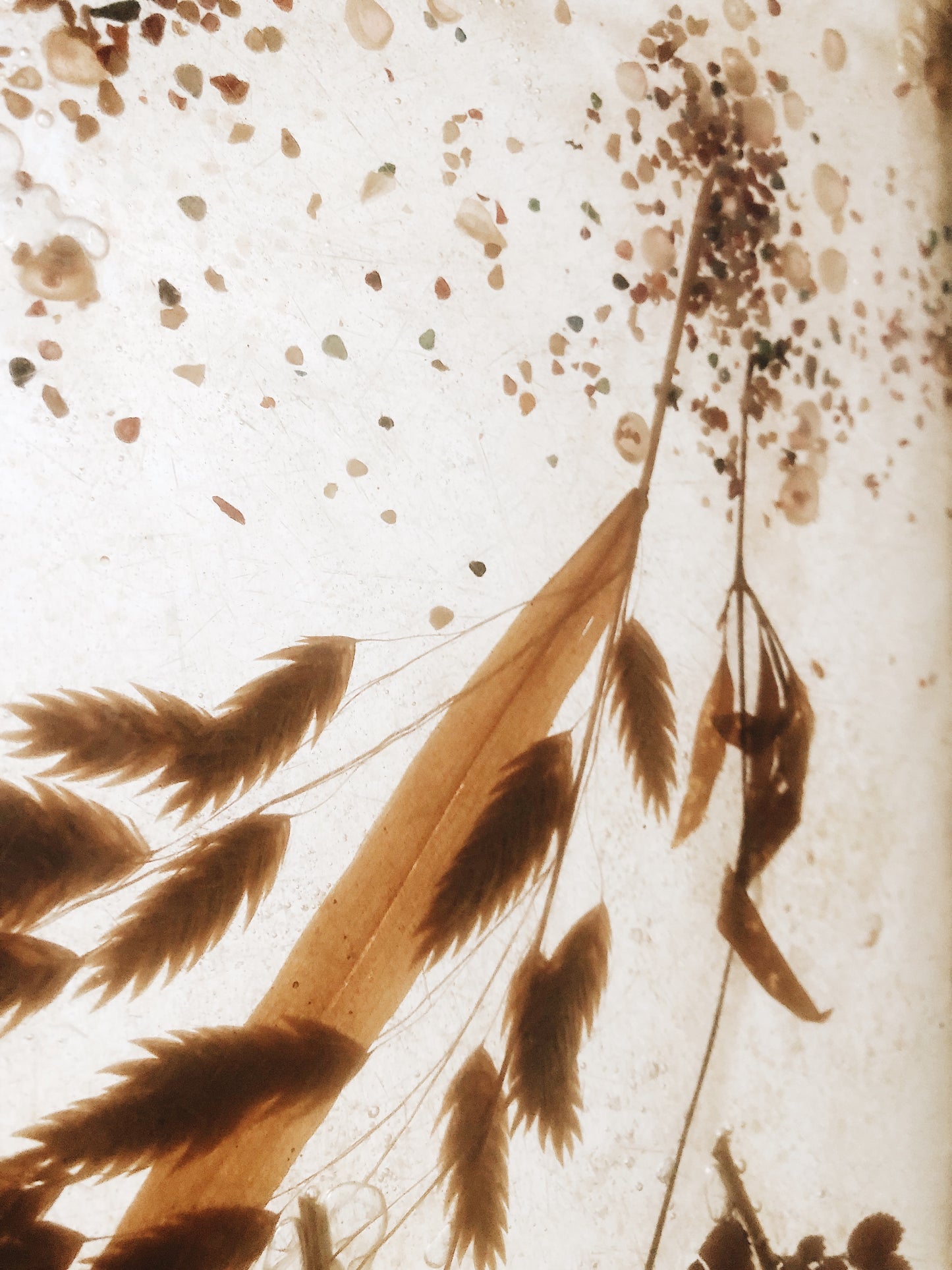 Vintage Pressed Floral Resin Shutter