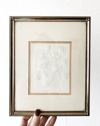 Vintage Golden Poppy Etching