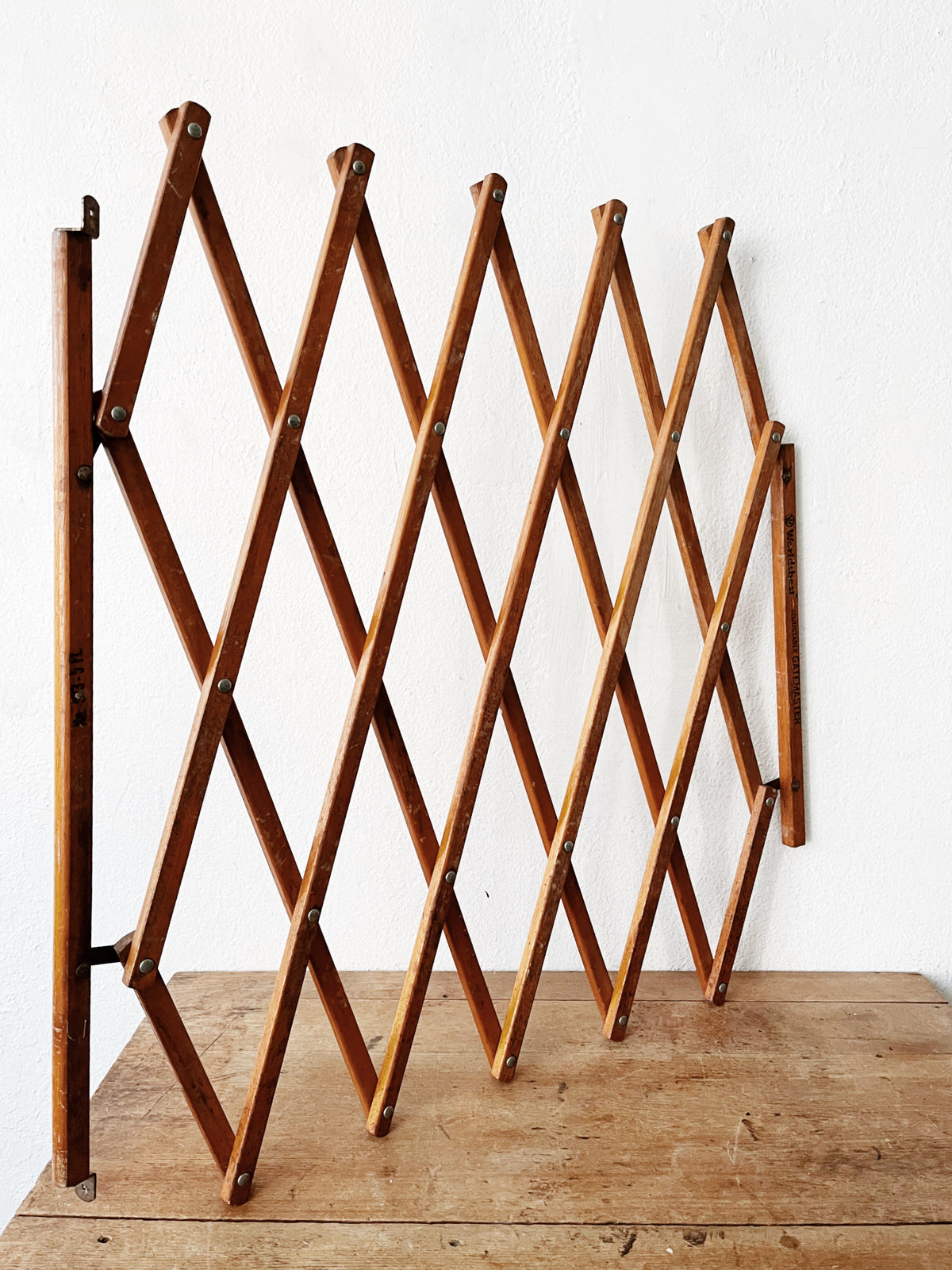 Vintage Accordion Gate