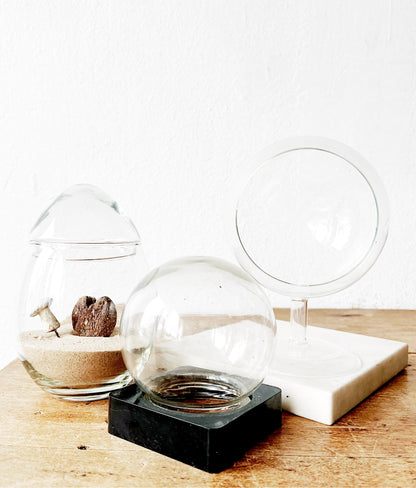 Vintage Terrarium