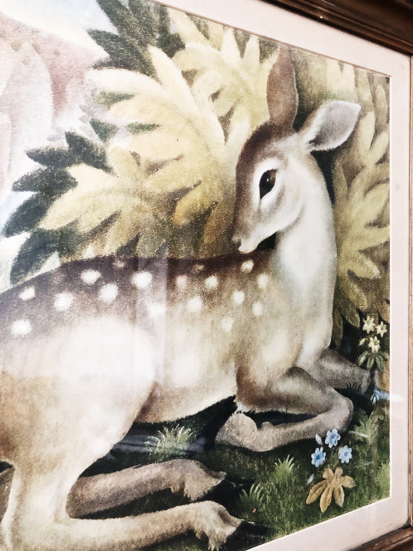 Antique Framed Deer Lithograph