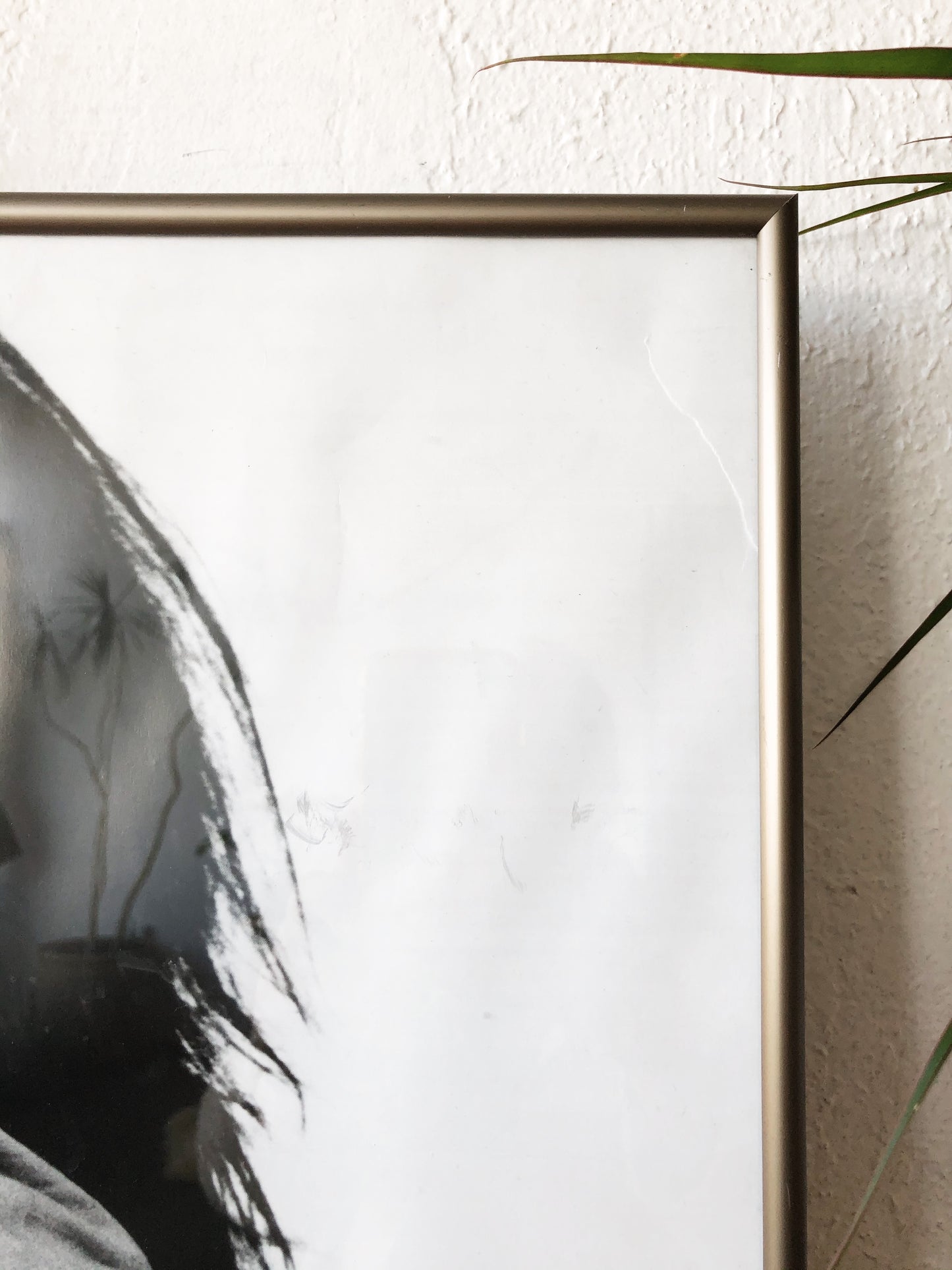 Framed Patti Smith Poster