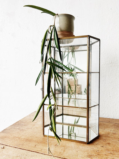 Glass Display Case