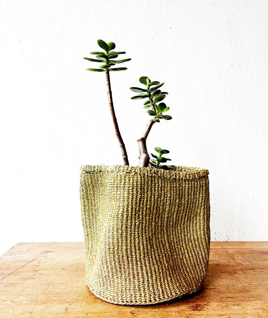Vintage Chartreuse Basket with Silk Liner