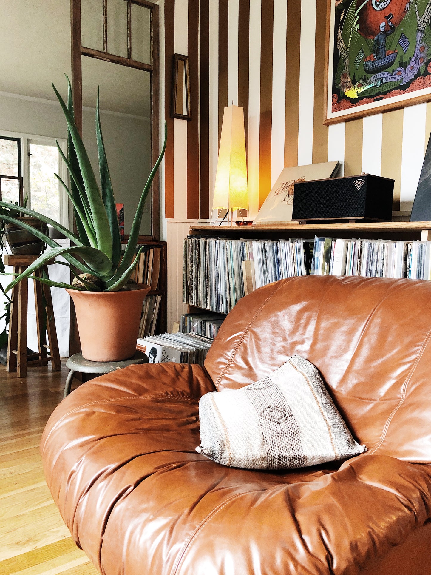 Large Aloe Vera in Terra Cotta