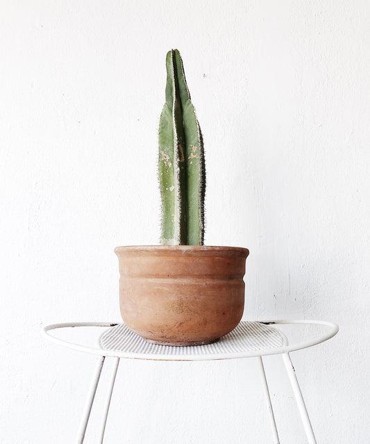 Mid Century Mesh Stool