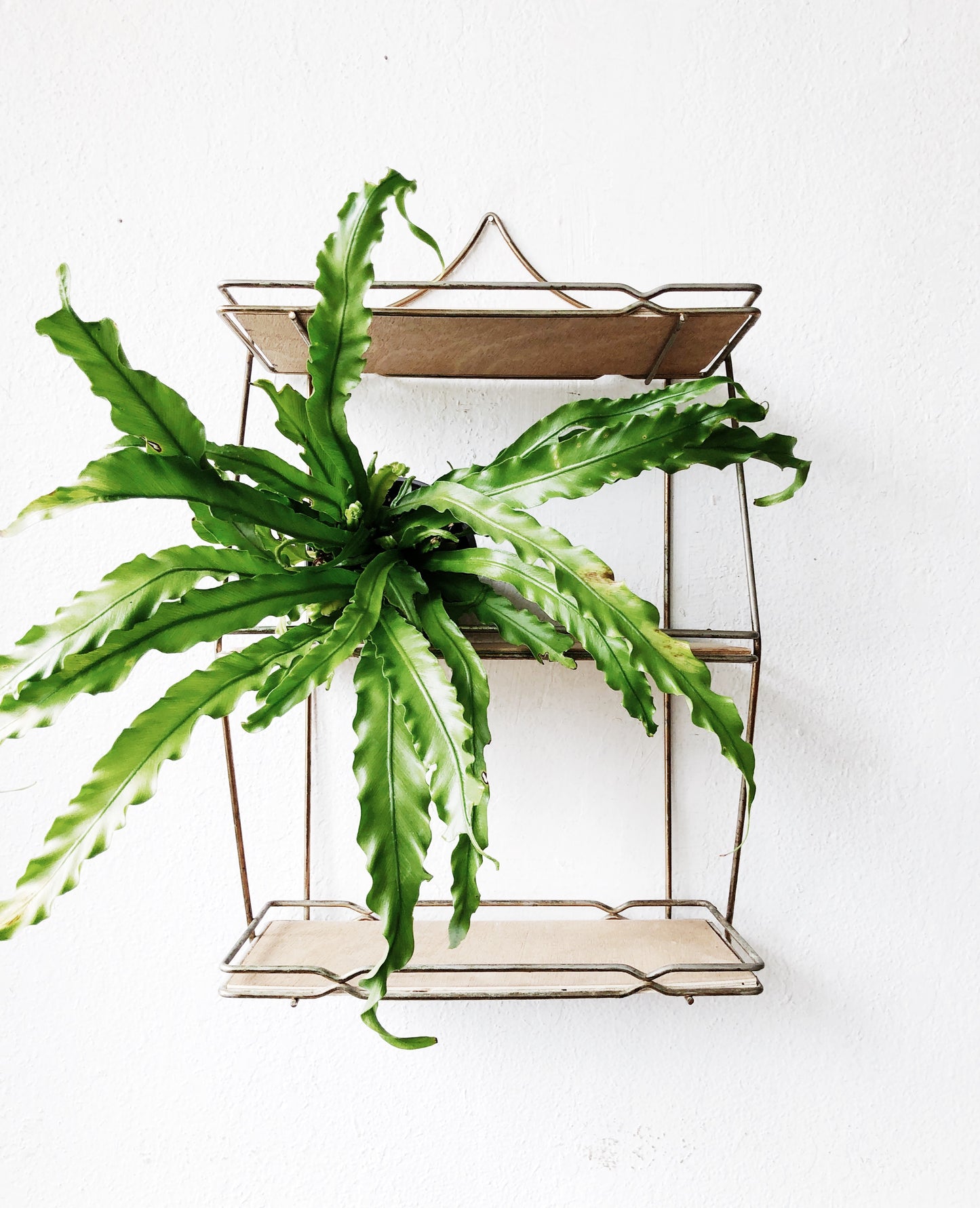 Vintage Mid Century Shelf