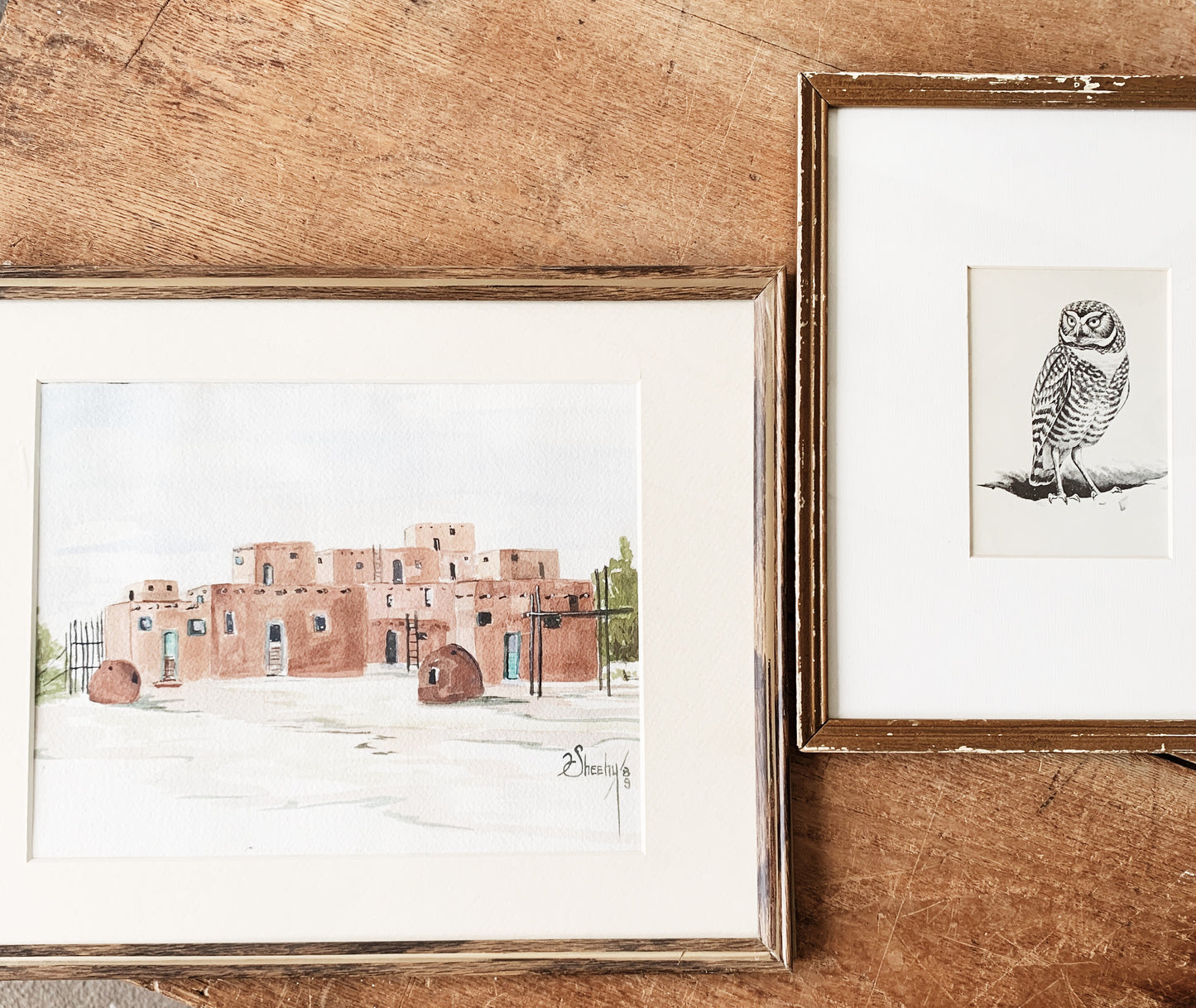 Antique Owl Framed Bookplate