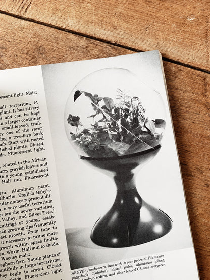 Wood and Glass Terrarium With Vintage Book