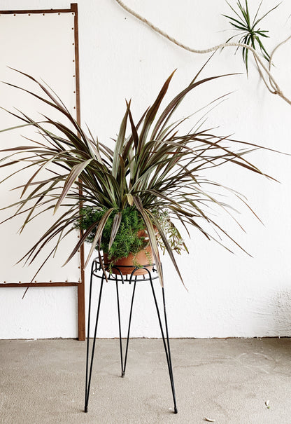 Potted Patio Planter with Stand