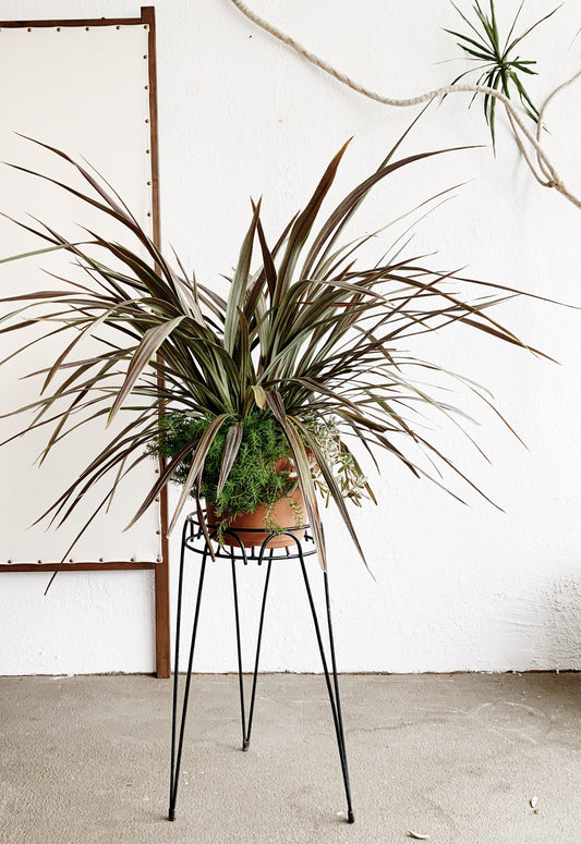 Potted Patio Planter with Stand