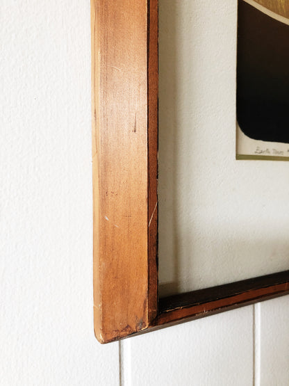 Original Vintage Screenprint