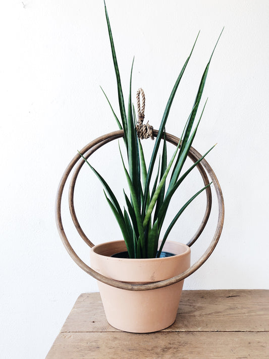 Vintage Bamboo Hanging Planter Ring
