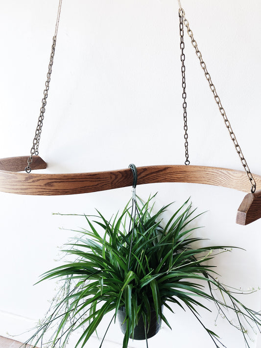 Vintage Bentwood Pot or Hanging Rack