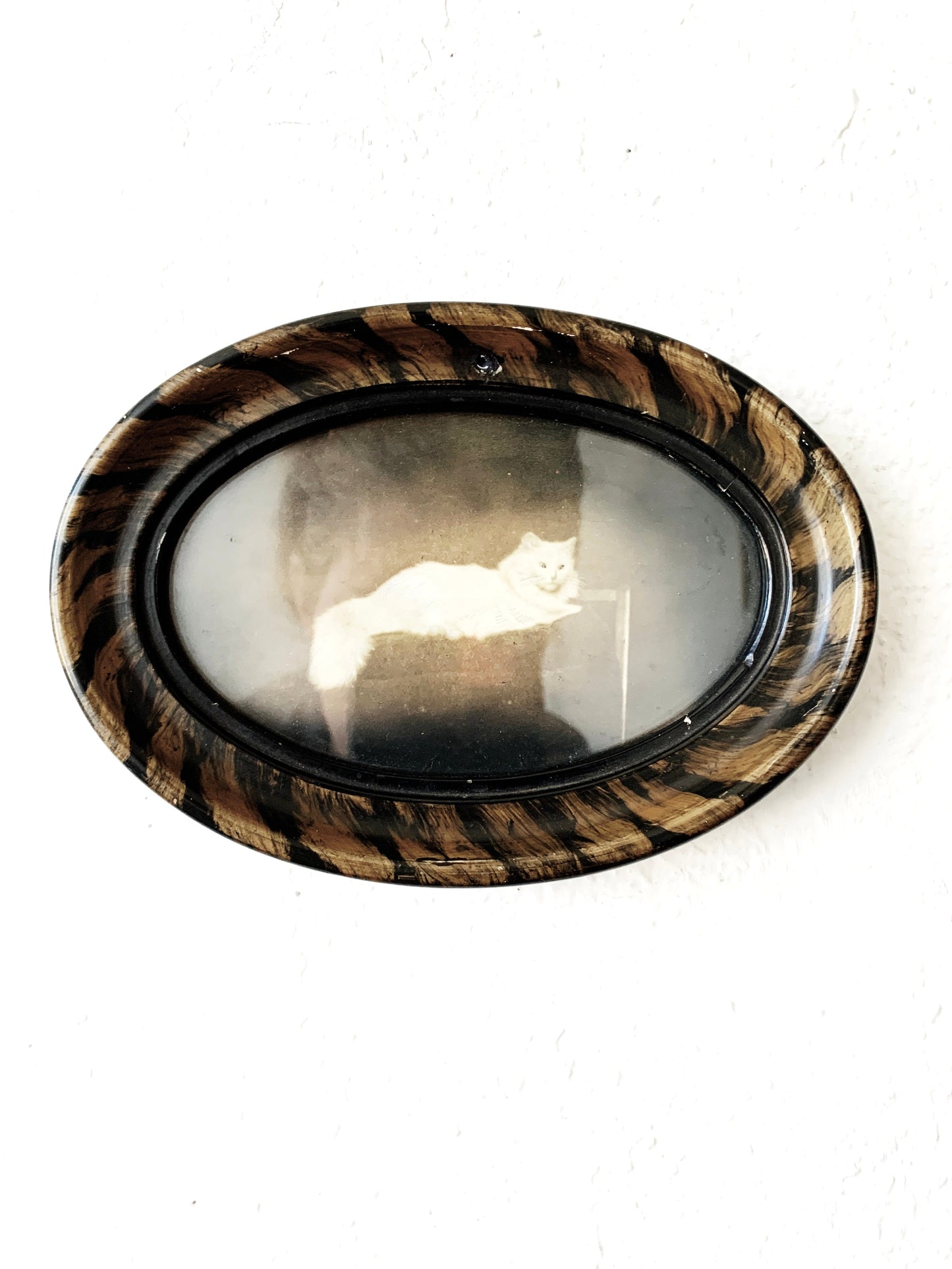 Antique Framed Feline Portrait