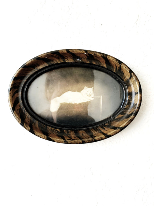 Antique Framed Feline Portrait