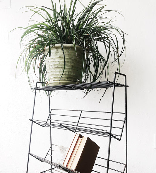 Mid Century Book Rack
