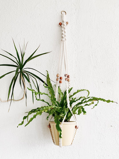 Cotton Macrame Hanger with Pot