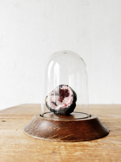 Small Vintage Display Cloche with Stand