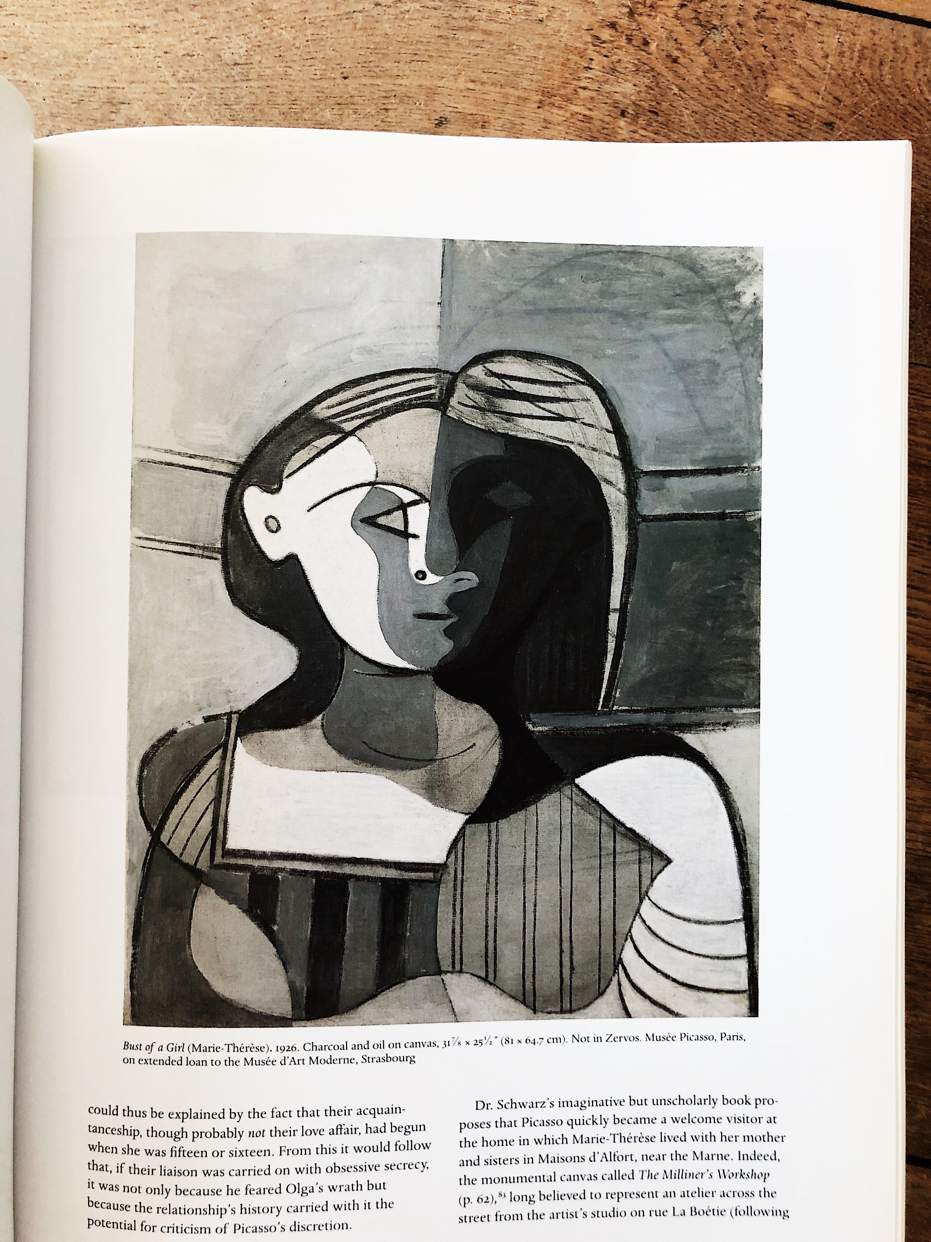 Picasso and Portraiture Book – Maven Collective