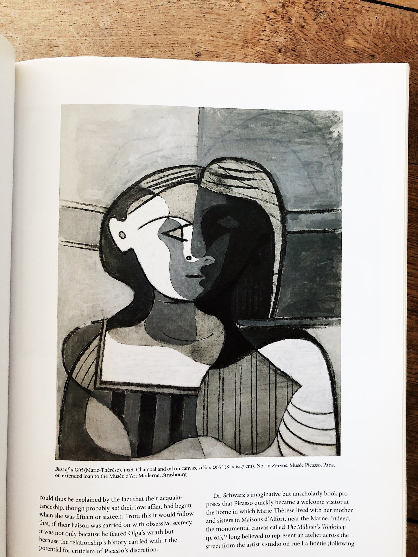 Picasso and Portraiture Book