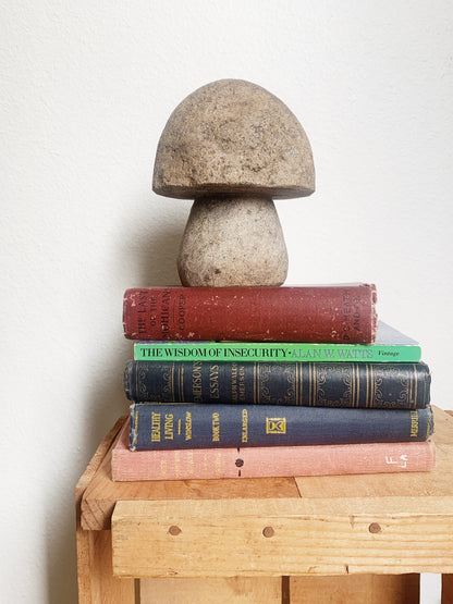 Vintage Cement Garden Mushroom