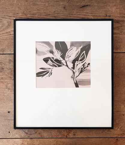 Vintage Mid Century Framed Lithograph