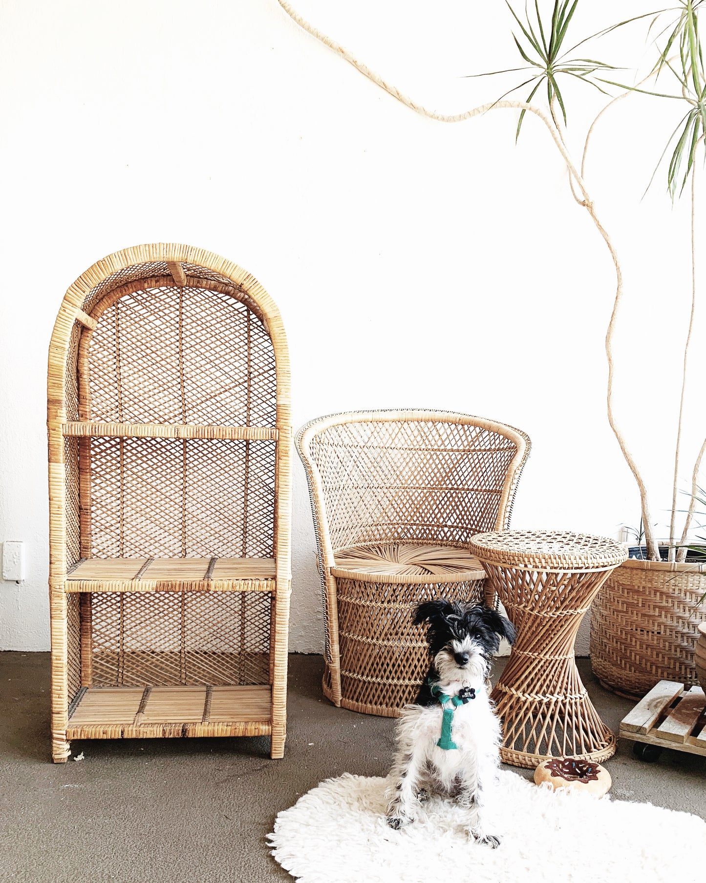 Petite Vintage Arched  Shelf