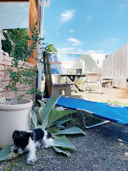 Vintage Aluminum Framed Cot