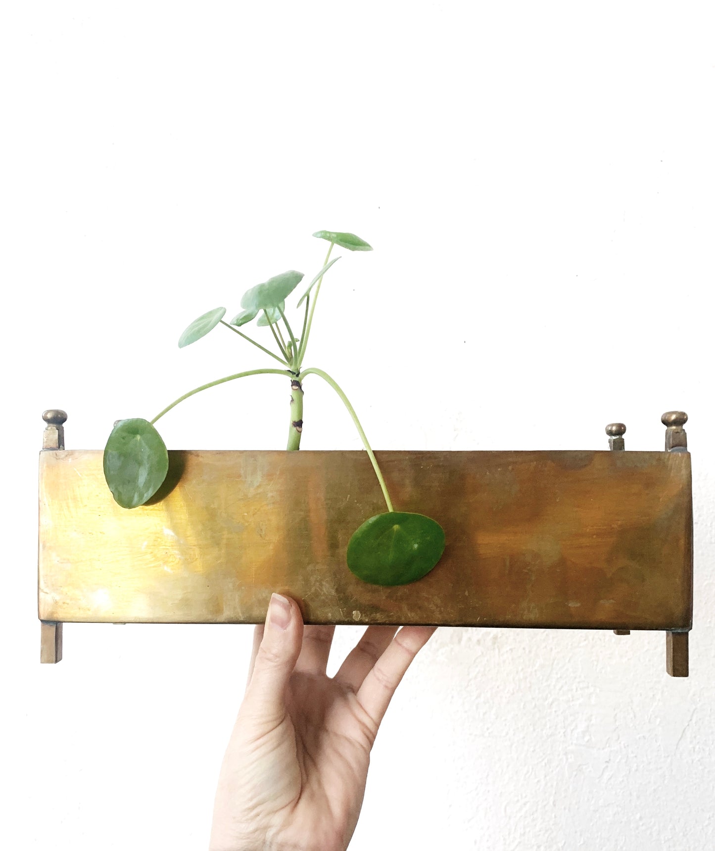 Mid Century Brass Planter