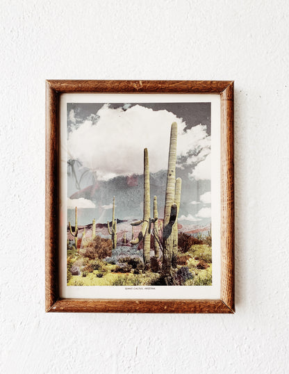 Vintage Framed Cactus Print
