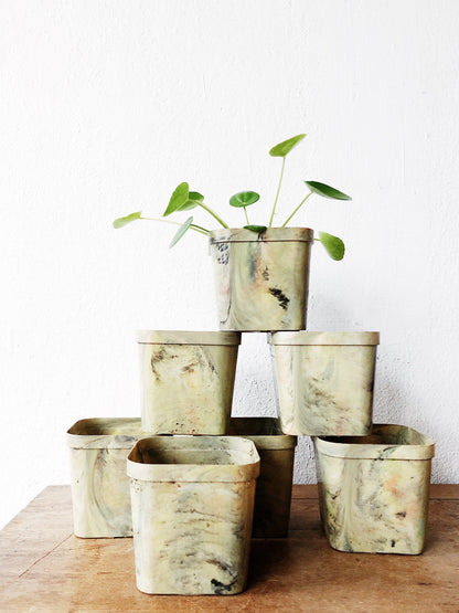 Vintage Marbled Propagation Pots