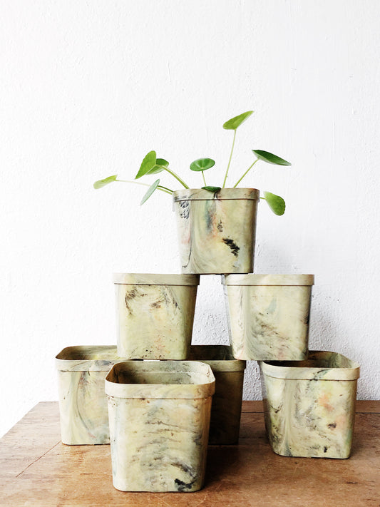 Vintage Marbled Propagation Pots