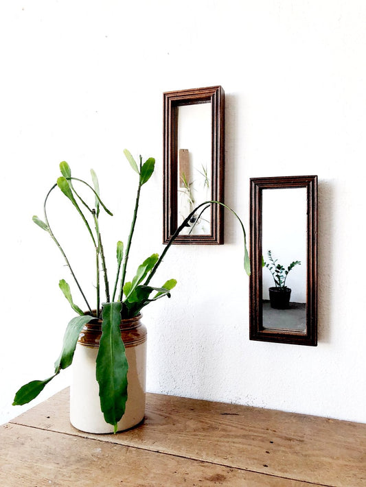 RESERVED Clara  Petite Oblong Wood Mirror