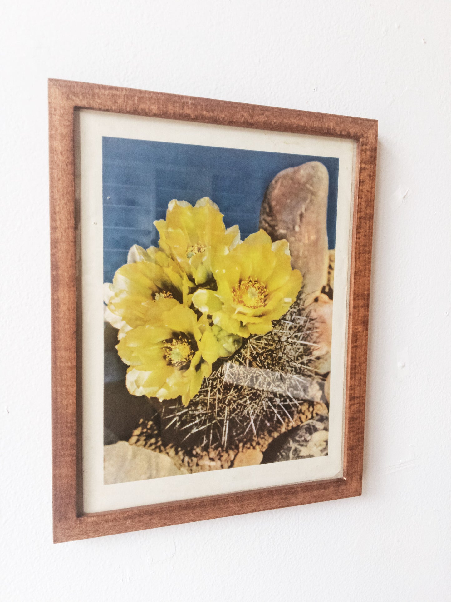 Vintage Framed Print