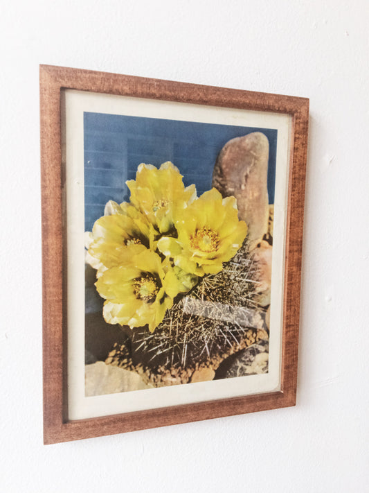 Vintage Framed Print