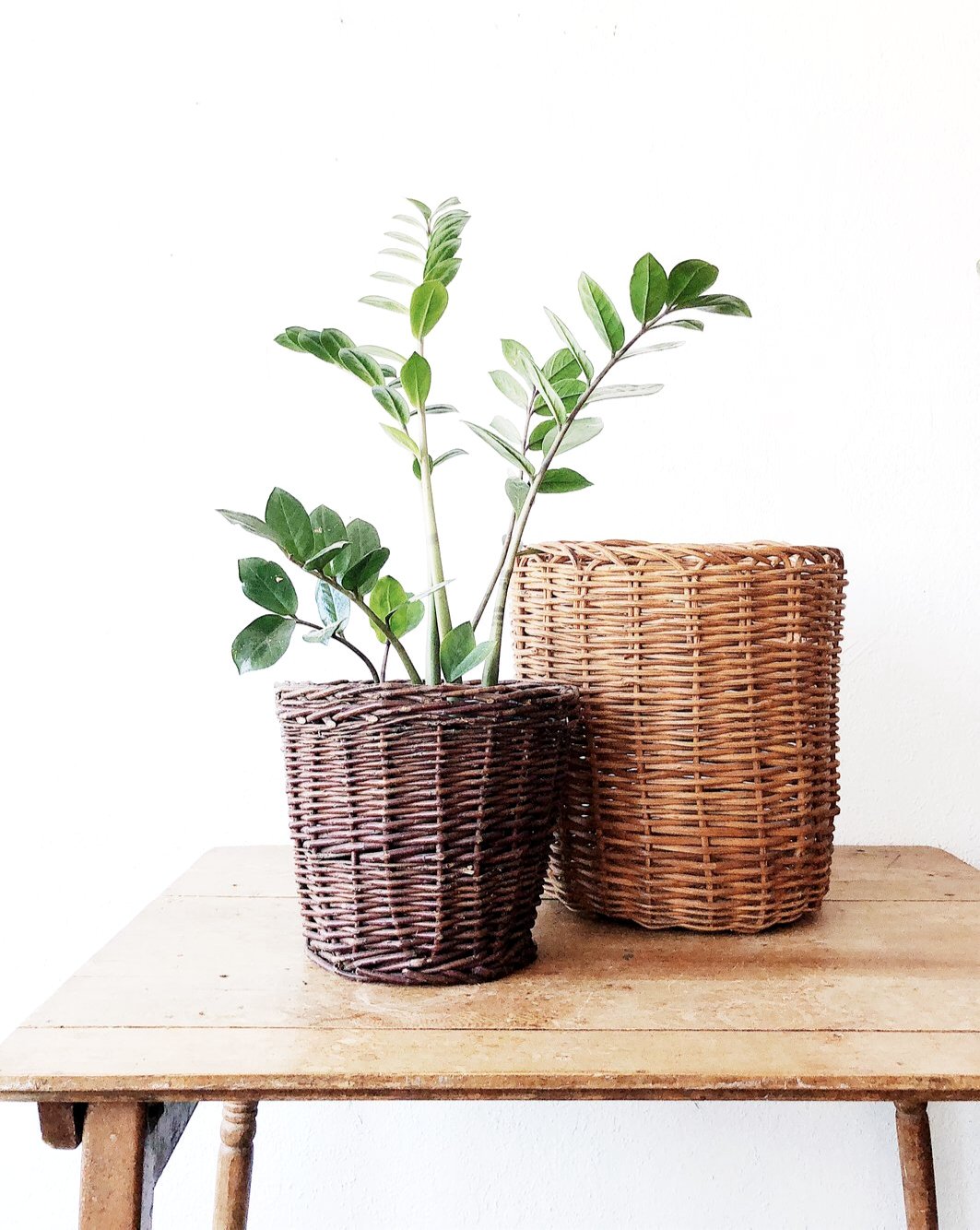 Vintage Plant Basket