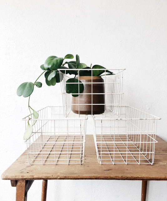 Vintage Coated Locker Basket