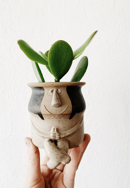 Small Potted Plant