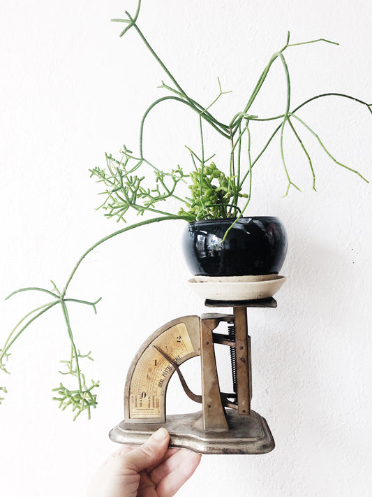 Vintage Postal Scale